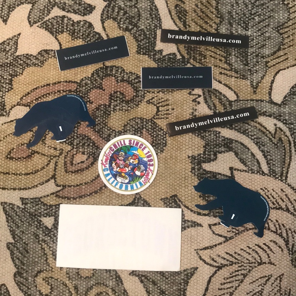 BRANDY MELVILLE STICKERS